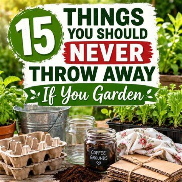 15 Things You Should Never Put Down a Garbage Disposal Family Handyman