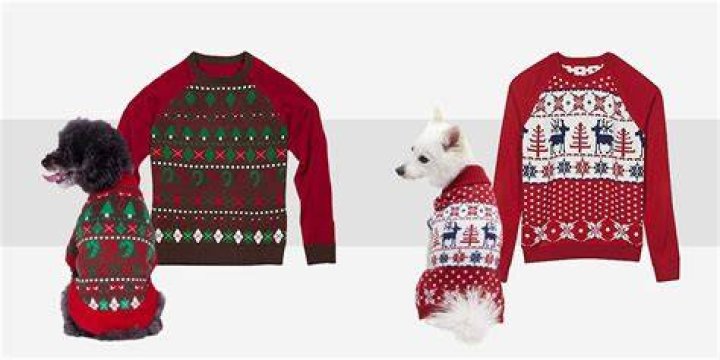 16 Cute Matching Dog Christmas Sweaters for Dogs and Owners 2021