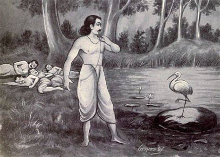 According to Yudhishthira, How can a man happy and rich? Urbanyogi