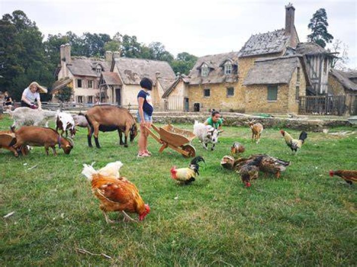 Accueil &agrave; la ferme quelques questions &agrave; Corinne Fabre YouTube