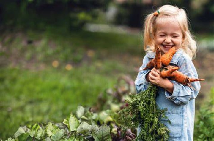 Adopter une alimentation biologique une tendance &eacute;coresponsable en