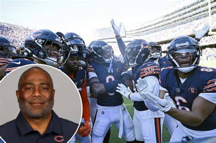 Alan Williams&rsquo; Bears resignation stemmed from &lsquo;inappropriate&rsquo; conduct