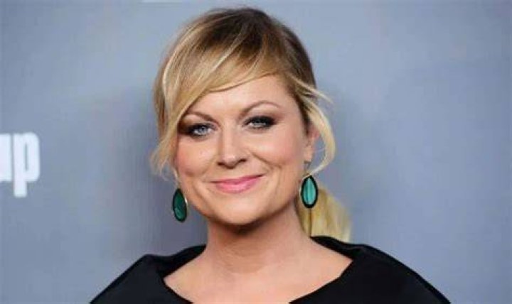 Amy Poehler Net Worth, Wealth, and Annual Salary 2 Rich 2 Famous
