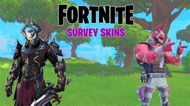 Another survey with more Fortnite concepts Fortnite Battle Royale