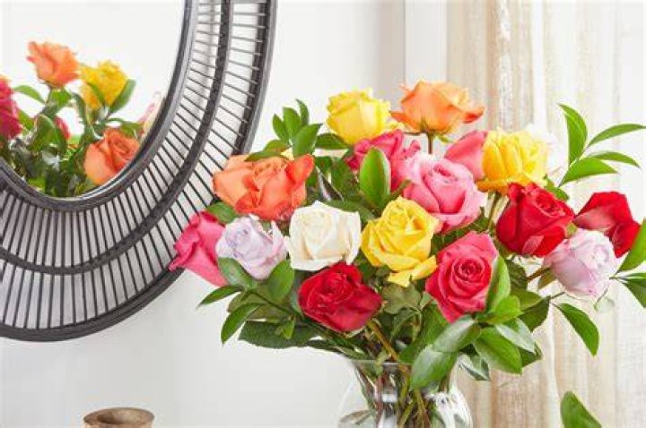 Antonio Flowers in Miami Antonio Flowers 5901 SW 8th St, Miami, FL