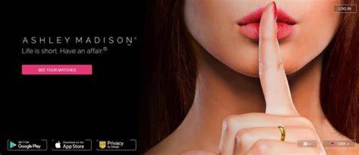 Ashley Madison Exploring the World of Discreet Affairs in detail