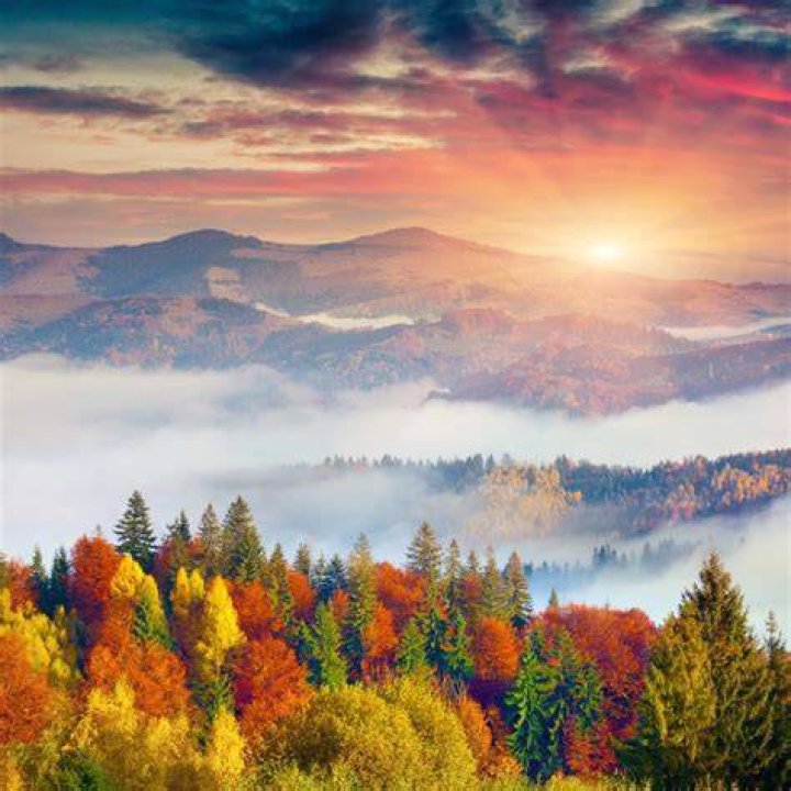 Barbara Wilkerson Obituary Falls Church, VA