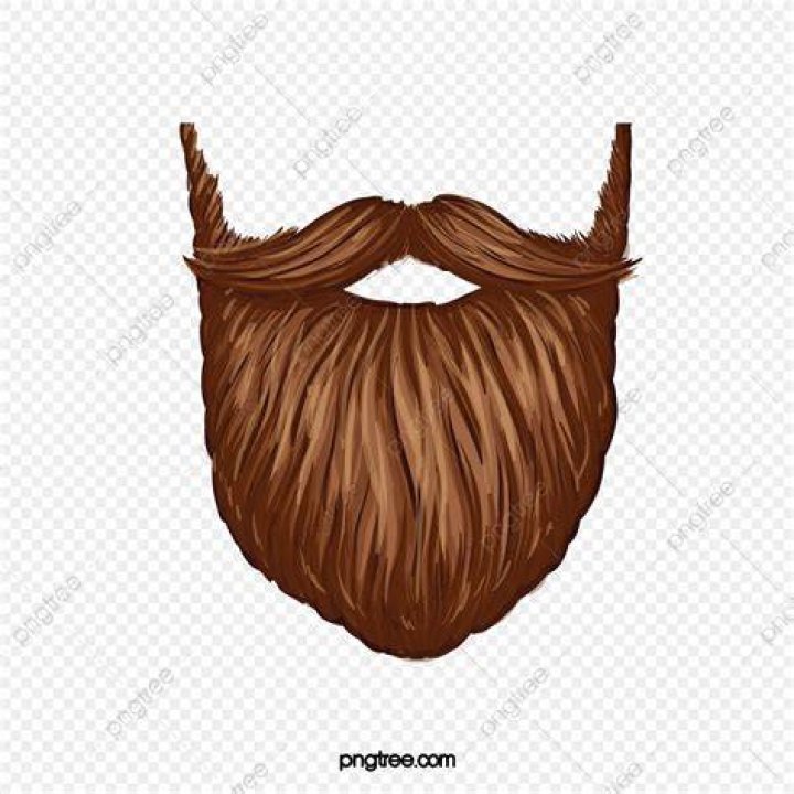 Beard clipart beard face, Beard beard face Transparent FREE for