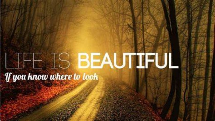 Beautiful Life Wallpapers Wallpaper Cave