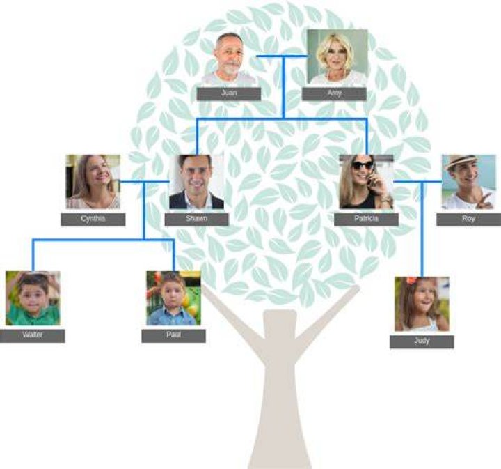 Blake Lively Family Tree