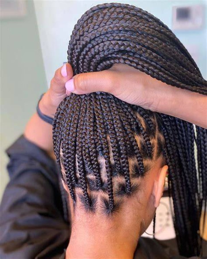 Box Braids African Hair Braiding Styles, African Braids Hairstyles