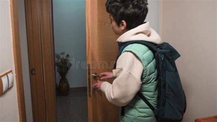 Boy Arrives Home With a Random Pit Bull and German Shepherd, Stressed