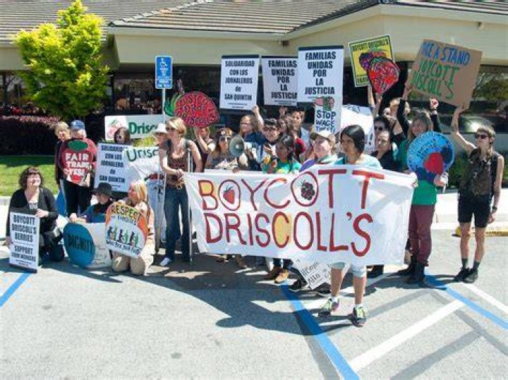 Boycott Driscoll&rsquo;s West Coast Tour at Driscoll&rsquo;s HQ in Watsonville