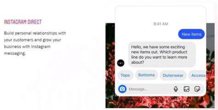 Business Direct Message Instagram Examples Juphy