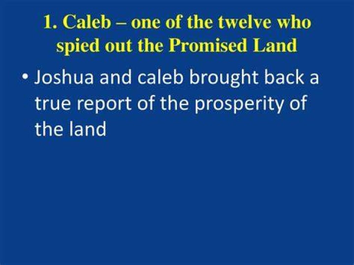 Caleb was one of twelve spies sent by Moses to explore the Land of