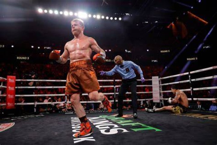 Canelo Alvarez next fight Mexican has mandatory Uturn from IBF
