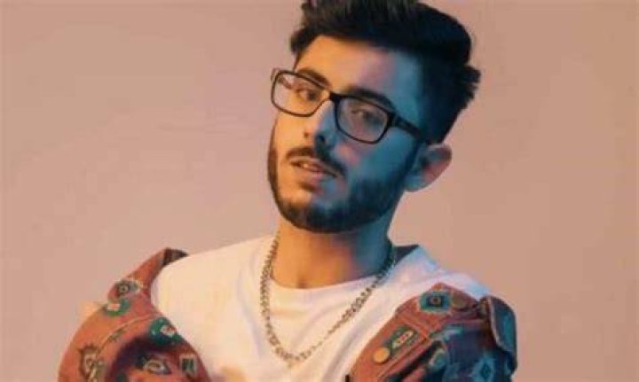 CarryMinati Net Worth 2021 (Ajey Nagar) Earnings, Wealth