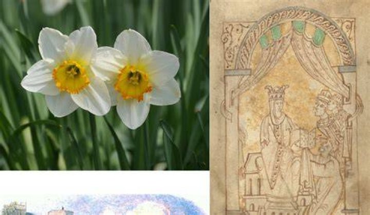 Casting Light upon the Shadow In Conversation with &AElig;thelfl&aelig;d, the