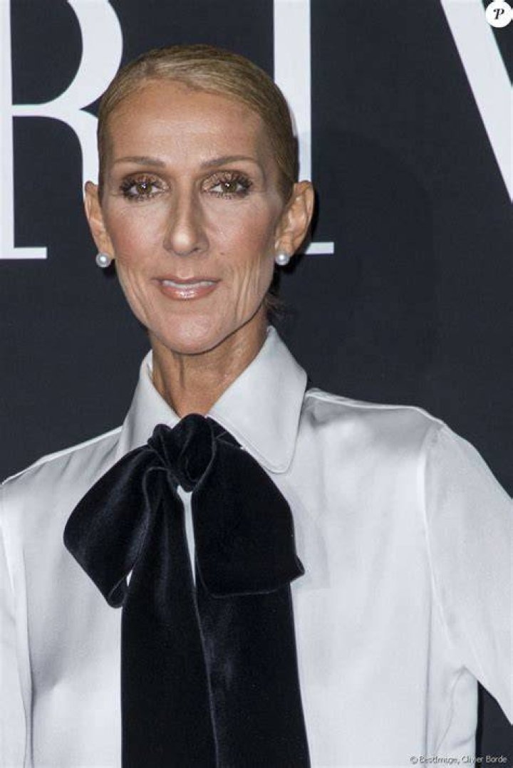 Celine Dion's Rare Photos With Her 3 Kids Through the Years