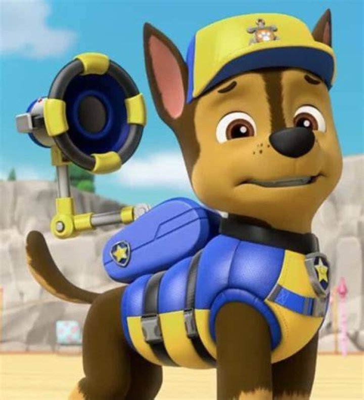 Chase PAW Patrol Photo (41145990) Fanpop