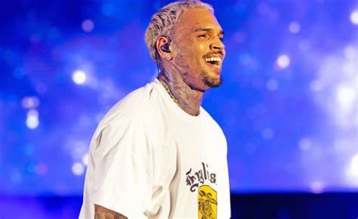 Chris Brown Net Worth How Much is He Worth in 2020