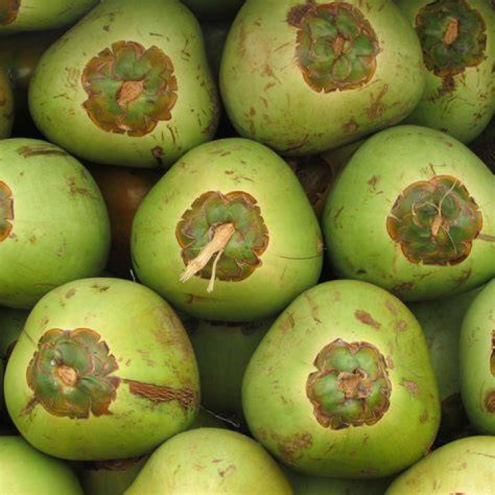 Coconuts Fruit Coco &middot; Free photo on Pixabay