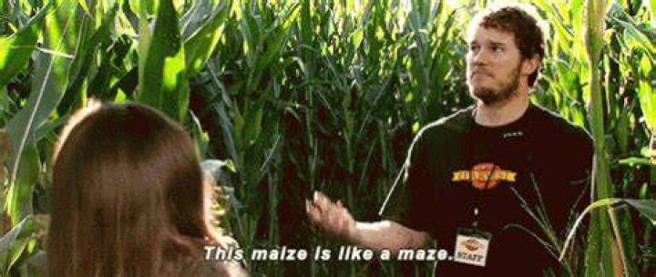 corn maze kid Memes & GIFs Imgflip