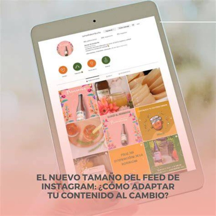 &iquest;C&oacute;mo funciona el nuevo feed de Instagram con la llegada de Favoritos?