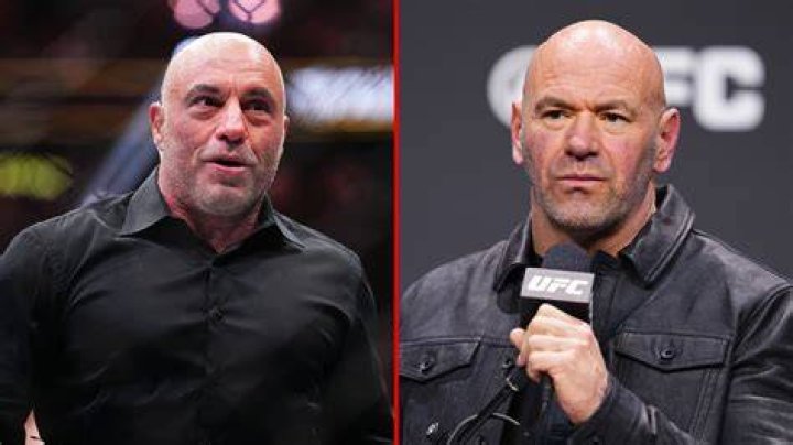Dana White vs. Joe Rogan net worth comparison Who is richer?