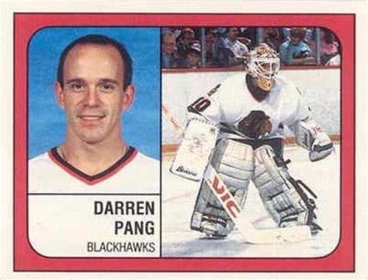 Darren Pang (198485&bull;198789) 81 GP. 27357. 4.05 GAA. .882 SV. 0 SO