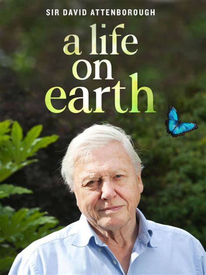 David Attenborough A Life on Our at Rich Mix &mdash; Roman Road LDN