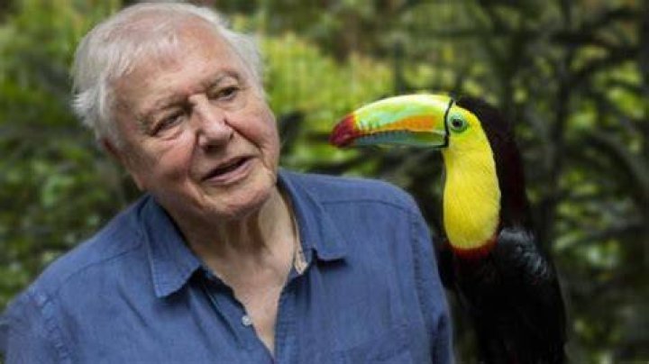 David Attenborough leads call for world to invest 500 billion a year
