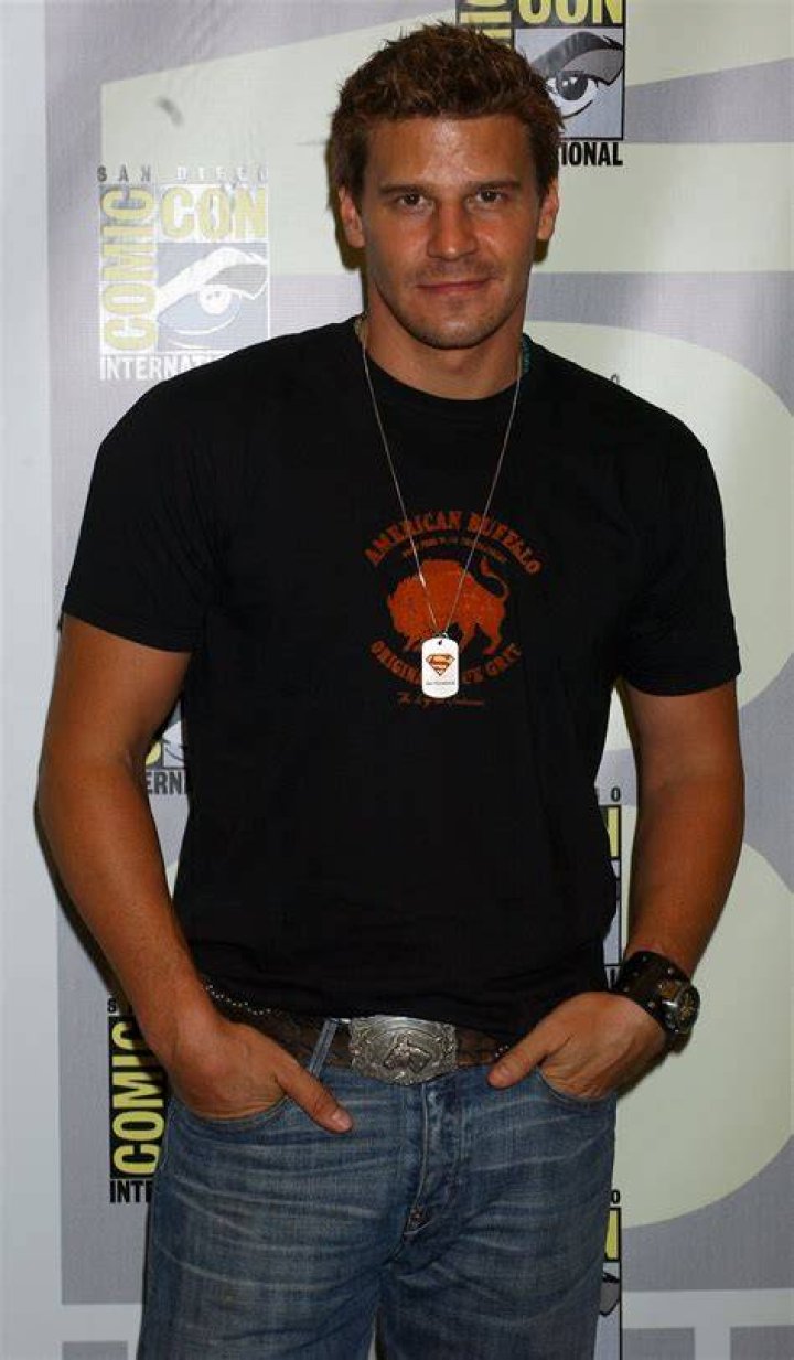 David BOREANAZ Biographie et filmographie