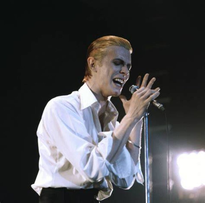 David Bowie's Daughter Alexandria ZahraJones Her Biography