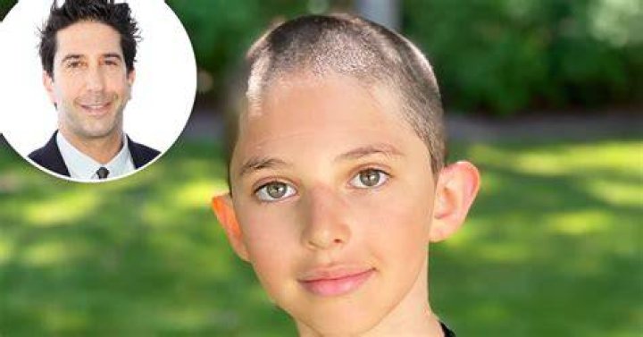 David Schwimmer Daughter Shaved Head / David Schwimmer's Daughter Cleo