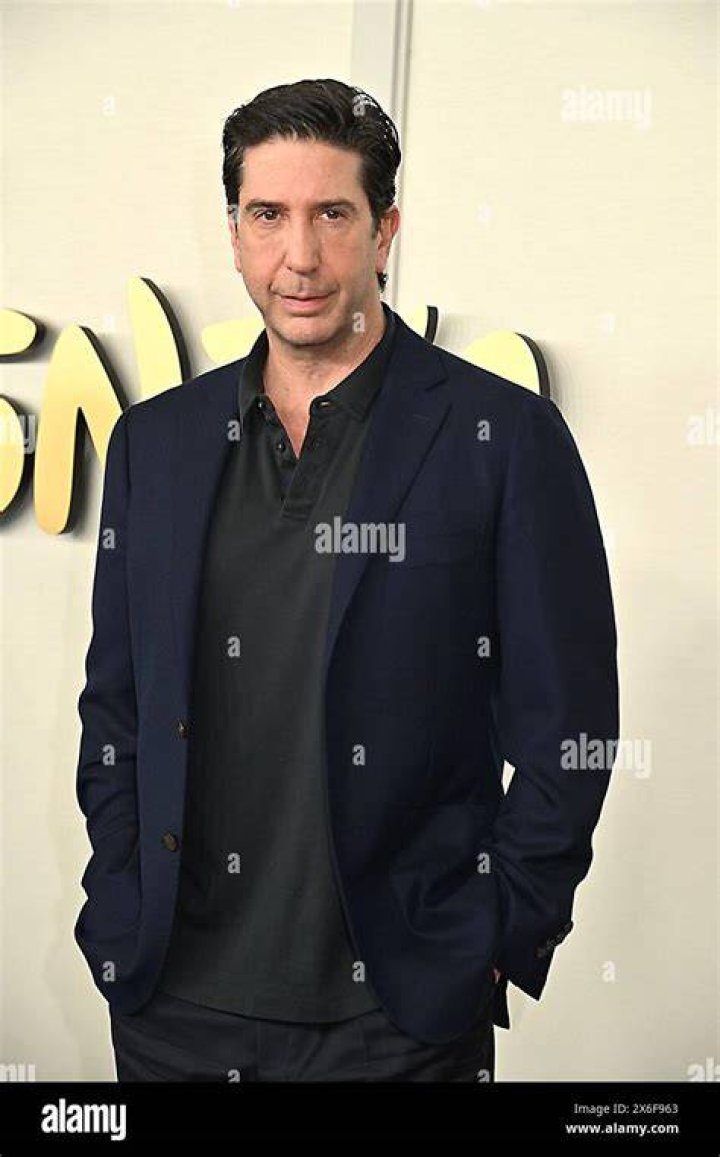 David Schwimmer on the Red Carpet With Wife and Daughter POPSUGAR