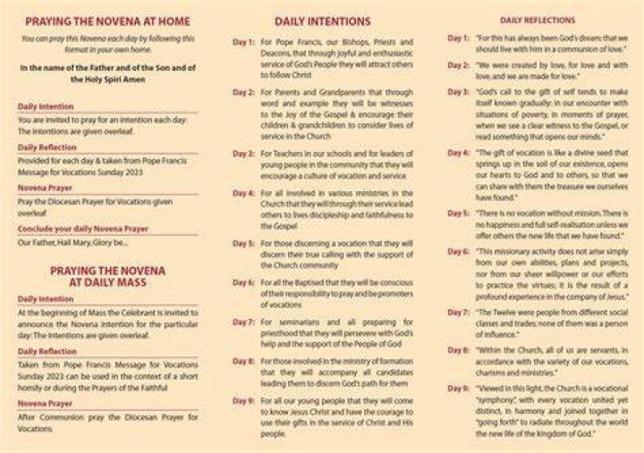 Day 9 Novena to Our Lady of Mount Carmel Catarina Lai