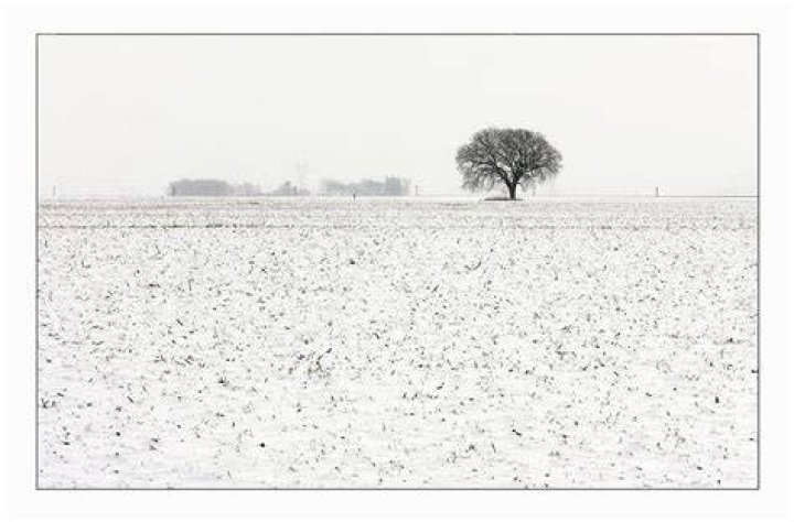 December Landscape Photograph by Luke Moore