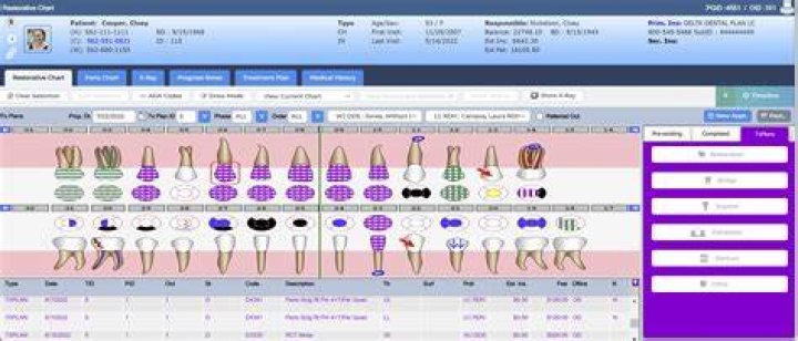 Denticon (Pedo) How to Log in and out, and access menu items