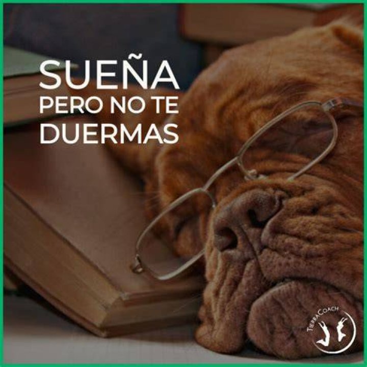 Descubre el no te duermas morena video terror