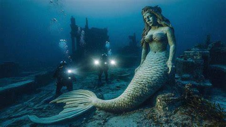 Divers Unveil Secrets at the Wreck of the Titanic That Tell Us More