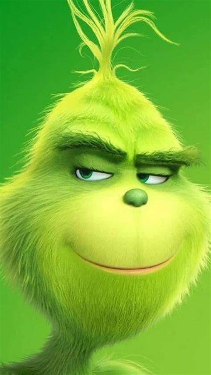 Don&rsquo;t let the Grinch steal your Christmas! &raquo;