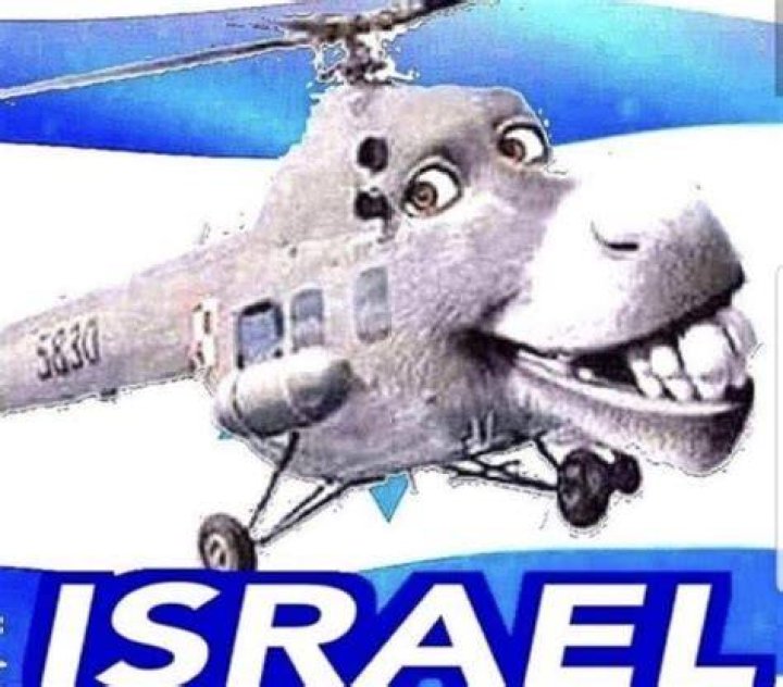 Donkey Helicopter by Buka2000 on DeviantArt