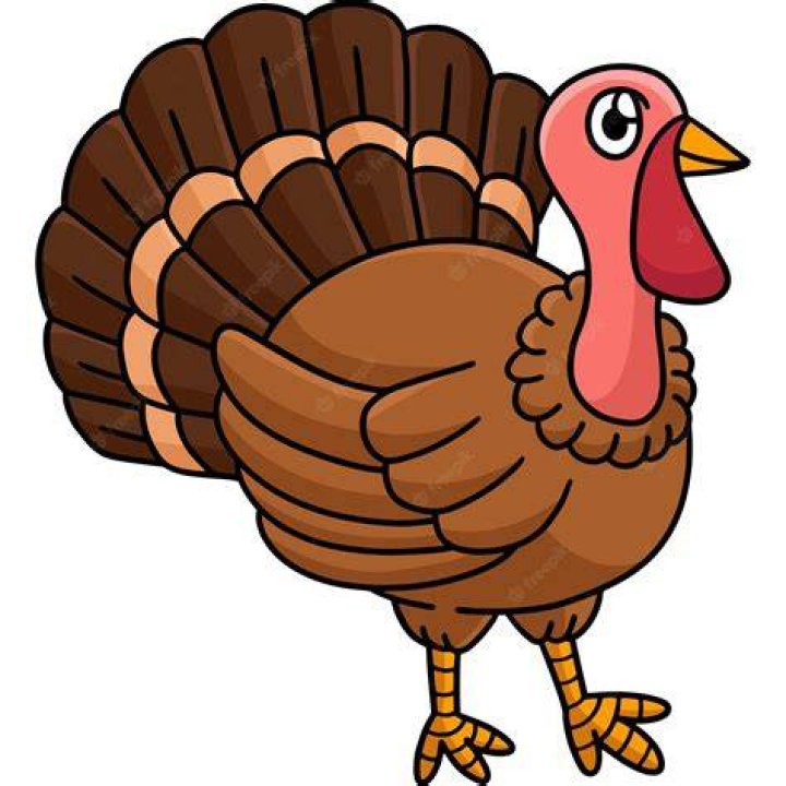 Download High Quality turkey clipart dancing Transparent PNG Images