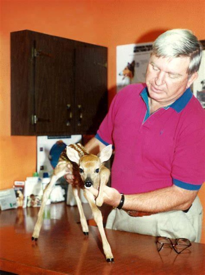 Dr. Charles Esterly, DVM Capital City Animal Hospital