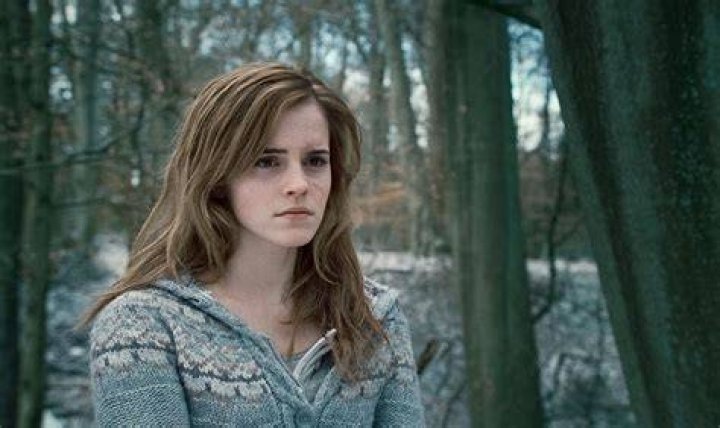 Emma Watson's Relationship History Emma Watson's Dating History