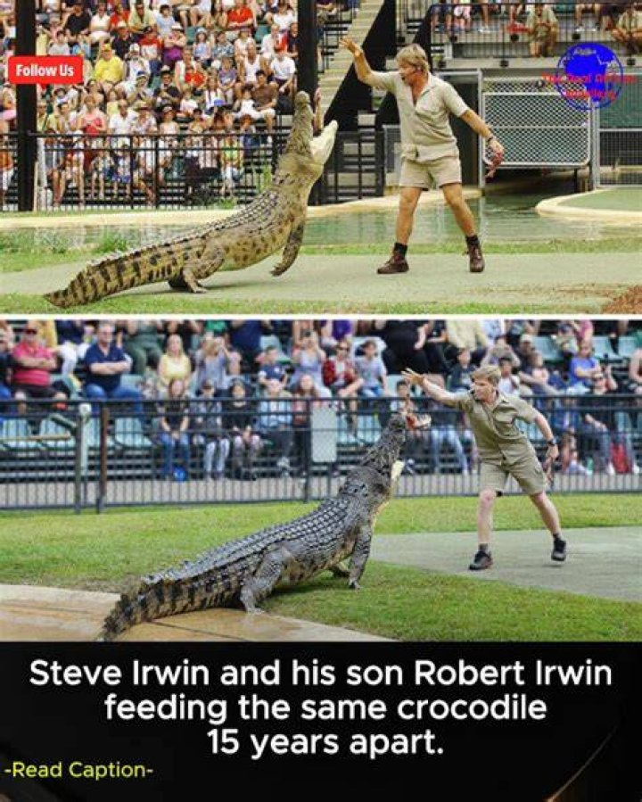 EXACT moment of Steve Irwin's death (& 38 crocodile hunter facts, when