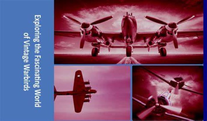 Exploring The Fascinating World Of Plane Cast