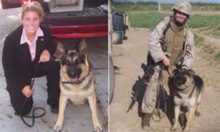 Expresamente Macad&aacute;n Son megan leavey real life husband Aplaudir