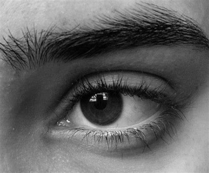 Eye Portrait a photo on Flickriver